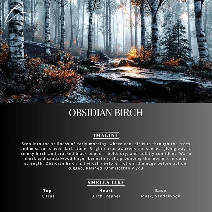 Obsidian Birch Carpet Freshener Powder: Powerful Odor Eliminator - Image 3