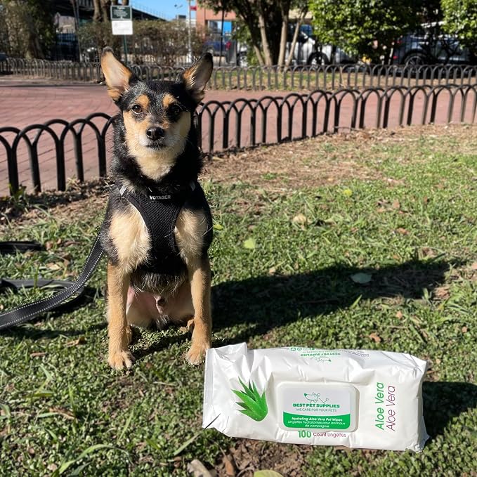 Best Pet Supplies Pet Grooming Wipes - Image 6