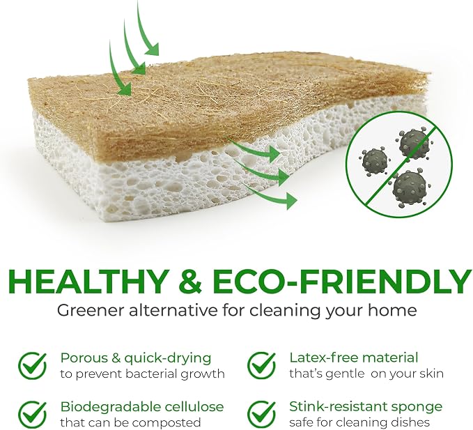 Biodegradable Natural Kitchen Sponge - Image 3
