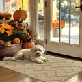 hicorfe Indoor Door Mat, Non Slip Door Mats, Absorbent Resist Dirt Entrance by Hicorfe