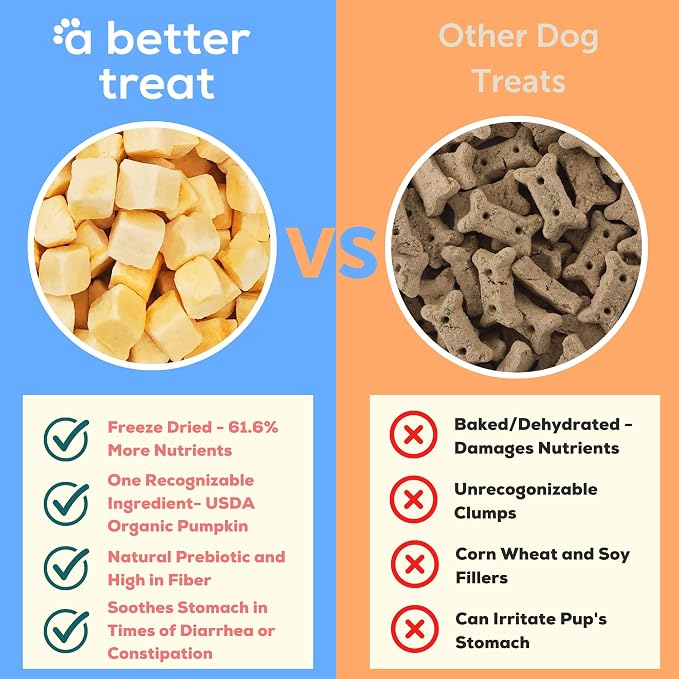 A Better Treat – Freeze Dried Organic Pumpkin Dog and Cat Treats, Single - Image 2