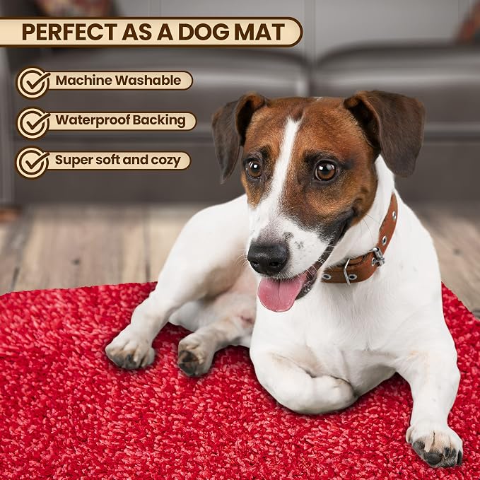 Premium Microfiber Indoor Door Mat – 24"x36" Washable Entry Mat, Waterproof - Image 6