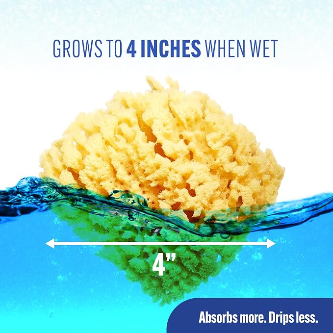 Baby Buddy Baby Bath 4in Yellow Sea Sponge, Absorbent Natural Sea Sponge - Image 4