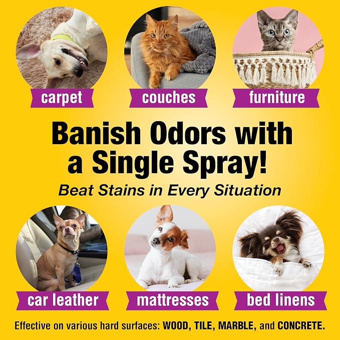 Pet Carpet Cleaner & Urine Odor Eliminator - Image 5