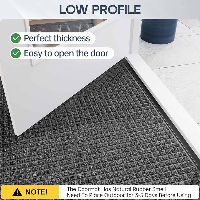 Amyracel Outdoor Indoor Door Mat - Image 2