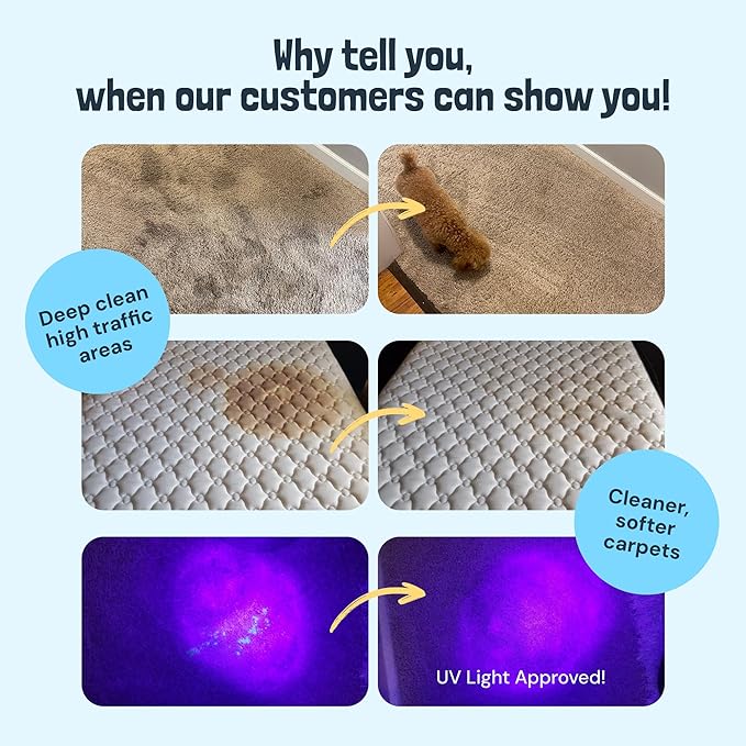 Sunny & Honey Carpet Cleaner Solution - Image 2
