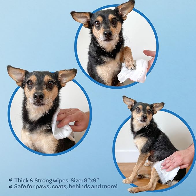 Best Pet Supplies Pet Wipes for Dogs - Image 3