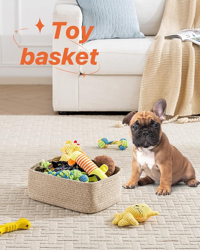 Small Woven Basket, 13.5 x 9.5 x 5 Inches, Storage Basket - Image 5