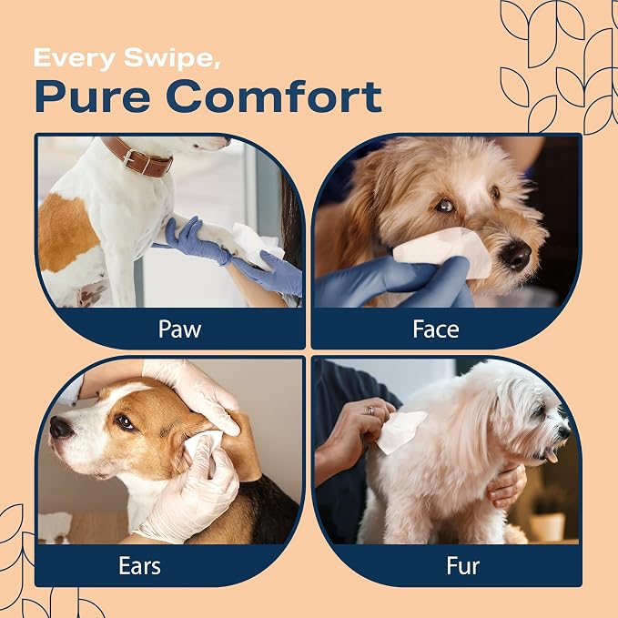 Pet Wipes for Dogs and Cats Plant Based – Unscented Dog Wipes for Paws and Butt - Image 5