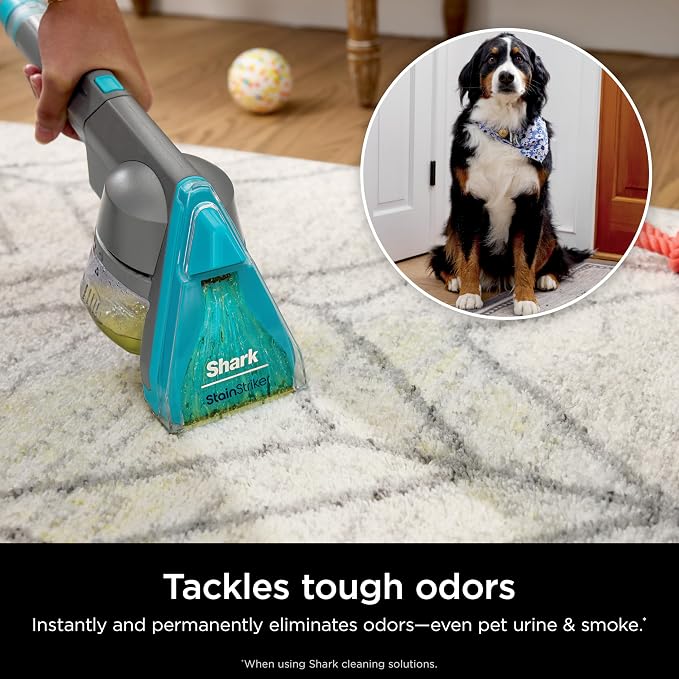 Shark CarpetXpert HairPro with StainStriker Upright Carpet, Area Rug & - Image 7