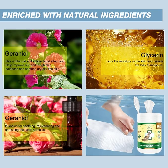 Antifungal and Antibacterial Wipes - Image 2