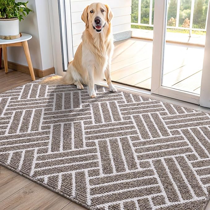 OLANLY Indoor Door Mat, 48x32 Inch, Dirt Resistant and Absorbent, Non-Slip by OLANLY