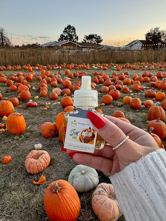 Scent Fill Pumpkin Pie Plug in Air Freshener, Scented Oil Refills, 2 Refills + - Image 5