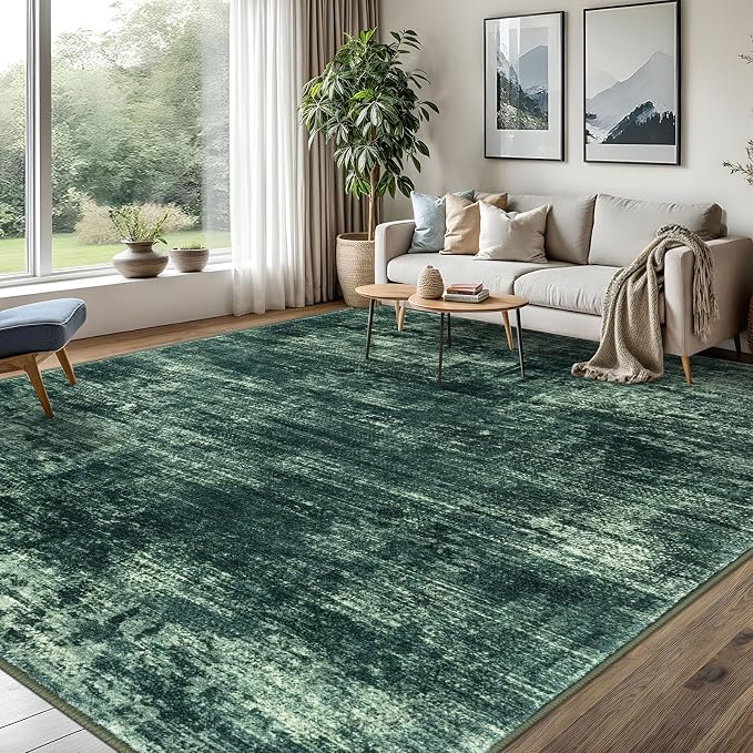 IOHOUZE Abstract Area Rugs 8x10 Ft Washable Large Rugs by iOhouze