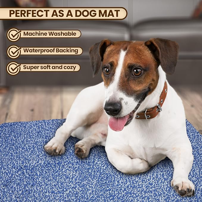 Premium Microfiber Indoor Door Mat – 20"x30" Washable Entry Mat, Waterproof - Image 6