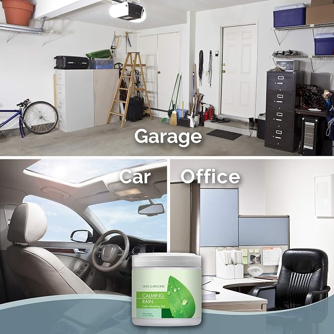SMELLS BEGONE Air Freshener Odor Absorber Gel - Image 7