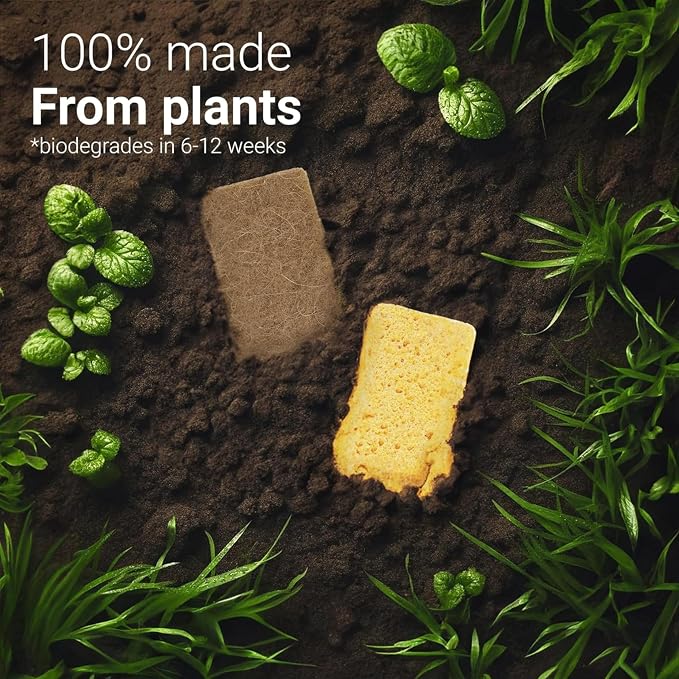 bioGo 24 Pack Biodegradable Kitchen Sponges - Image 3