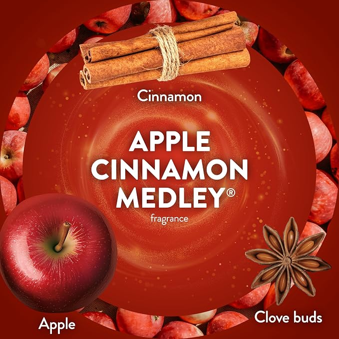 Air Wick Scented Oils 0+10 Apple Cinnamon Medley​ - Image 4