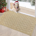 REFETONE Indoor Doormat, Front Back Door Mat 32"x40" Absorbent Rubber Backing by Refetone