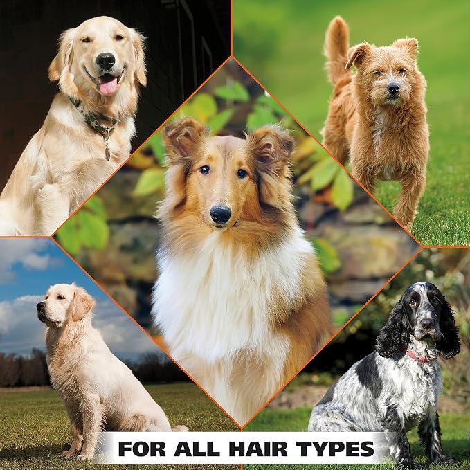 Wahl USA Pet Refresh Cleaning Wipes - Image 6